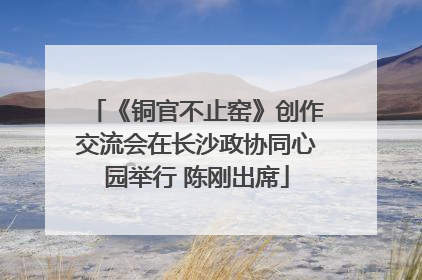 《铜官不止窑》创作交流会在长沙政协同心园举行 陈刚出席