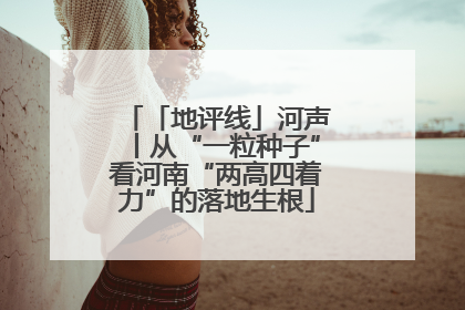 「地评线」河声丨从“一粒种子”看河南“两高四着力”的落地生根