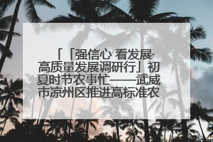 「强信心 看发展·高质量发展调研行」初夏时节农事忙——武威市凉州区推进高标准农田建设见闻