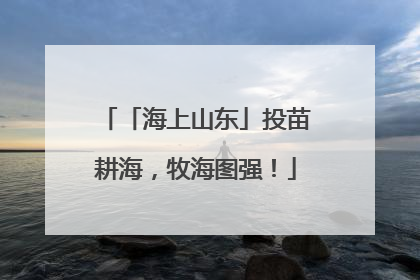 「海上山东」投苗耕海，牧海图强！
