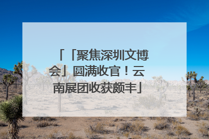 「聚焦深圳文博会」圆满收官！云南展团收获颇丰