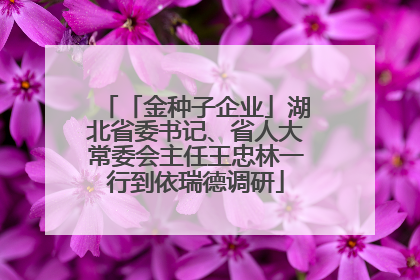「金种子企业」湖北省委书记、省人大常委会主任王忠林一行到依瑞德调研