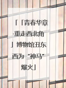 「青春华章·重走西北角」博物馆丑东西为“神马”爆火