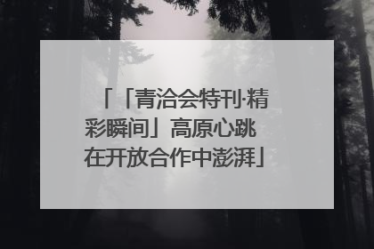 「青洽会特刊·精彩瞬间」高原心跳 在开放合作中澎湃