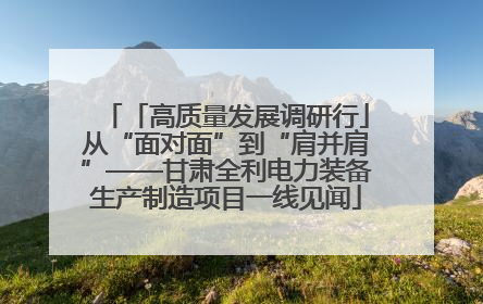「高质量发展调研行」从“面对面”到“肩并肩”——甘肃全利电力装备生产制造项目一线见闻