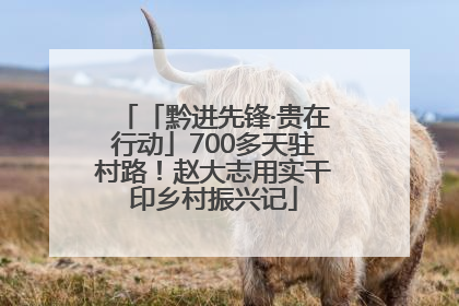 「黔进先锋·贵在行动」700多天驻村路！赵大志用实干印乡村振兴记