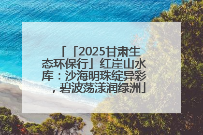 「2025甘肃生态环保行」红崖山水库：沙海明珠绽异彩，碧波荡漾润绿洲