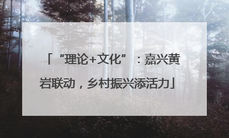 “理论+文化”：嘉兴黄岩联动，乡村振兴添活力