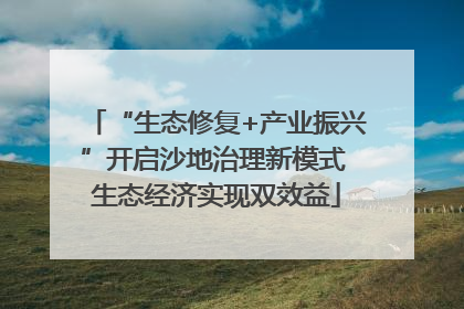 “生态修复+产业振兴”开启沙地治理新模式 生态经济实现双效益