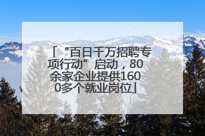 “百日千万招聘专项行动”启动，80余家企业提供1600多个就业岗位