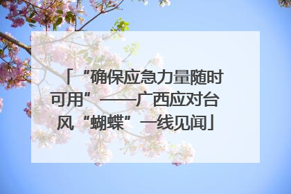 “确保应急力量随时可用”——广西应对台风“蝴蝶”一线见闻