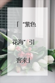 “紫色花海”引客来
