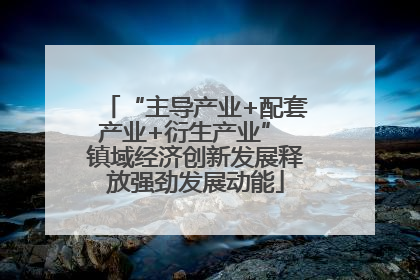 “主导产业+配套产业+衍生产业” 镇域经济创新发展释放强劲发展动能