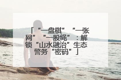 “一盘棋”“一张网”“一股绳”：解锁“山水融治”生态警务“密码”