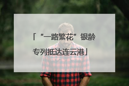 “一路繁花”银龄专列抵达连云港