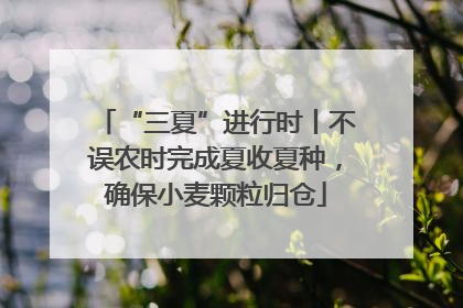 “三夏”进行时丨不误农时完成夏收夏种，确保小麦颗粒归仓