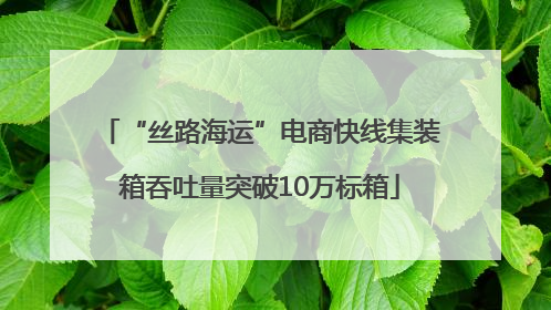 “丝路海运”电商快线集装箱吞吐量突破10万标箱
