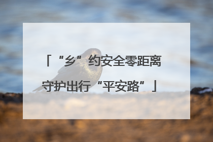 “乡”约安全零距离 守护出行“平安路”