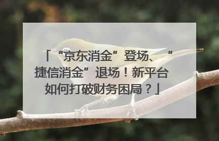 “京东消金”登场、“捷信消金”退场！新平台如何打破财务困局？
