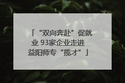 “双向奔赴”促就业 93家企业走进益阳师专“揽才”