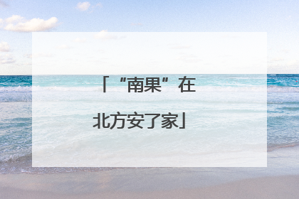 “南果”在北方安了家