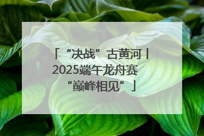 “决战”古黄河丨2025端午龙舟赛“巅峰相见”
