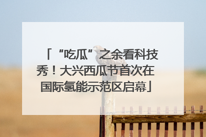 “吃瓜”之余看科技秀！大兴西瓜节首次在国际氢能示范区启幕
