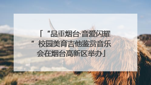 “品重烟台·音爱闪耀”校园美育吉他鉴赏音乐会在烟台高新区举办