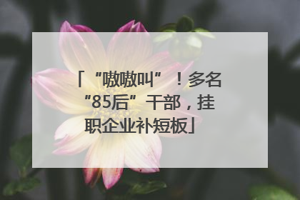 “嗷嗷叫”！多名“85后”干部，挂职企业补短板