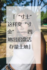 “寸土”这样变“寸金”——四地出招盘活存量土地