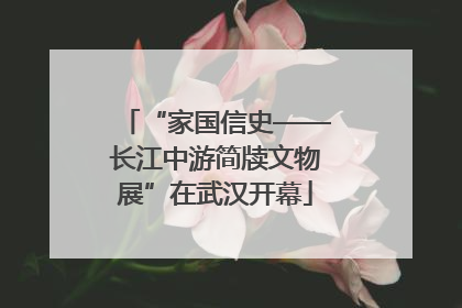 “家国信史——长江中游简牍文物展”在武汉开幕
