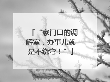 “家门口的调解室，办事儿就是不绕弯！”