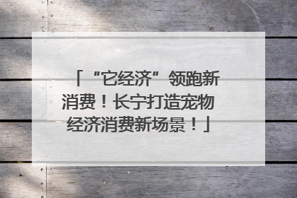 “它经济”领跑新消费！长宁打造宠物经济消费新场景！