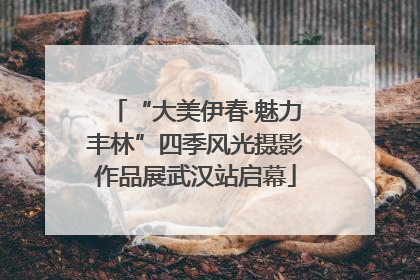 “大美伊春·魅力丰林”四季风光摄影作品展武汉站启幕