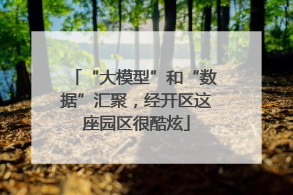 “大模型”和“数据”汇聚，经开区这座园区很酷炫