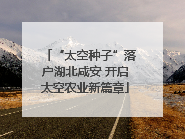 “太空种子”落户湖北咸安 开启太空农业新篇章
