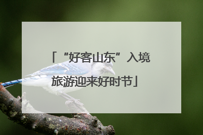 “好客山东”入境旅游迎来好时节