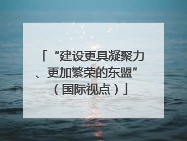 “建设更具凝聚力、更加繁荣的东盟”（国际视点）