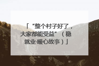 “整个村子好了，大家都能受益”（稳就业·暖心故事）