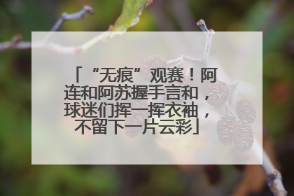 “无痕”观赛！阿连和阿苏握手言和，球迷们挥一挥衣袖，不留下一片云彩