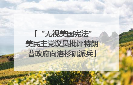 “无视美国宪法” 美民主党议员批评特朗普政府向洛杉矶派兵