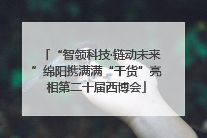 “智领科技·链动未来”绵阳携满满“干货”亮相第二十届西博会