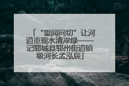 “望闻问切”让河道重现水清岸绿——记郓城县郓州街道镇级河长孟泓辰