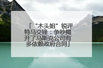 “木头姐”锐评特马交锋：争吵揭开了马斯克公司有多依赖政府合同