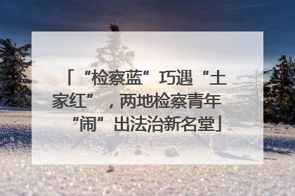 “检察蓝”巧遇“土家红”，两地检察青年“闹”出法治新名堂