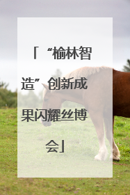 “榆林智造”创新成果闪耀丝博会