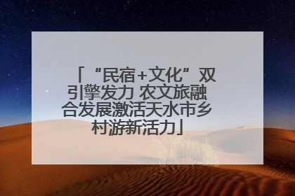 “民宿+文化”双引擎发力 农文旅融合发展激活天水市乡村游新活力
