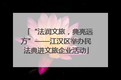 “法润文旅，典亮远方”——江汉区举办民法典进文旅企业活动