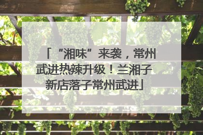 “湘味”来袭，常州武进热辣升级！兰湘子新店落子常州武进
