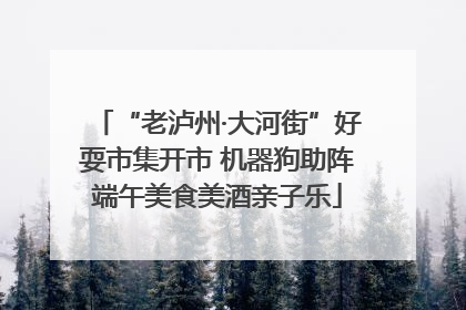 “老泸州·大河街”好耍市集开市 机器狗助阵端午美食美酒亲子乐